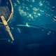 Illustration for article titled iThe Hungering Deep/i Update Brings Relative Peace to iSea of Thieves/i